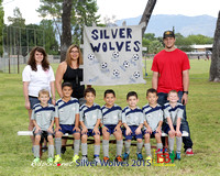 Silver Wolves