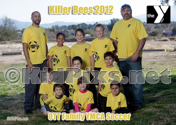 -killer bees