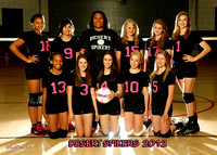 Desert Strikers and PCVP volleyball 2012