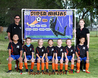 Super Ninjas