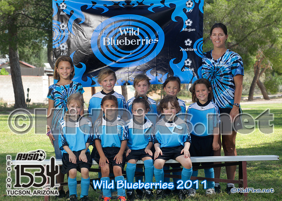 -wild blueberries