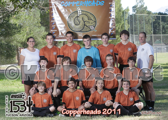 copperheads