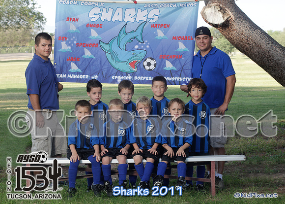 -sharks