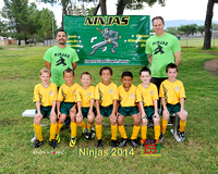 Ninjas (Green)