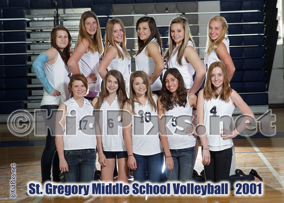 -middle school volleyball