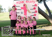 Pink Party Ponies